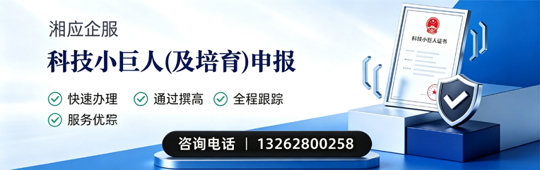 江苏科技小巨人及培育企业申报服务