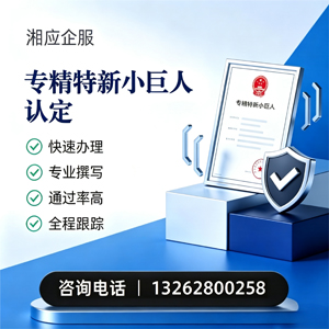 江苏专精特新小巨人申报服务