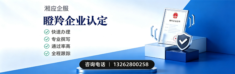 江苏瞪羚企业认定申报服务