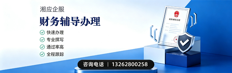 江苏财务辅导申请服务