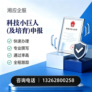 江苏科技小巨人及培育企业申报服务