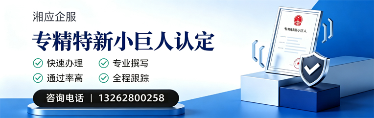 江苏专精特新小巨人申报服务